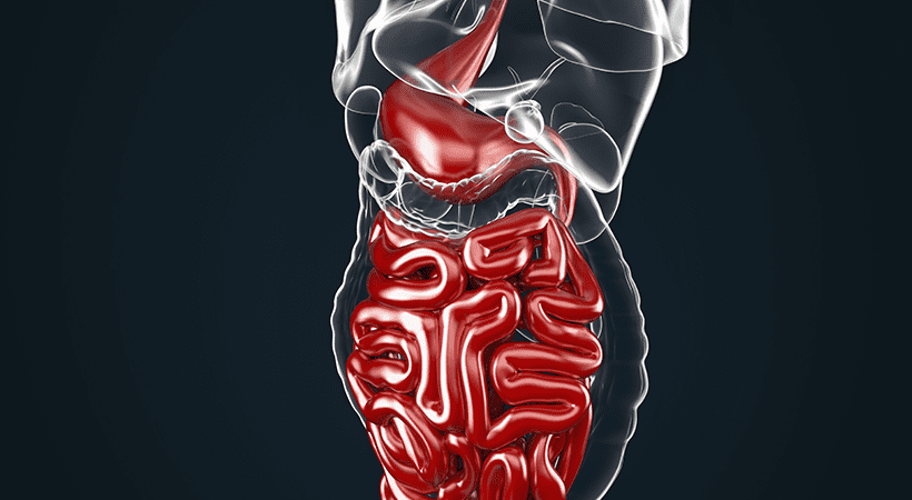 Gastroenterología